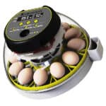 KEBONNIXS 12 Egg Incubator with Humidity Display Image